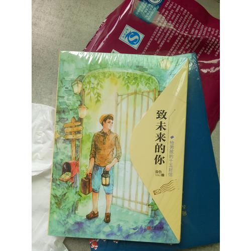 致未來的你——給男孩的十五封信