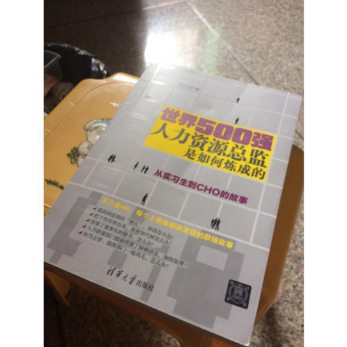 世界500強人力資源總監是如何煉成的：從實習生到CHO的故事