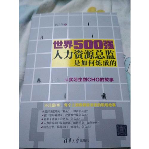 世界500強人力資源總監是如何煉成的：從實習生到CHO的故事