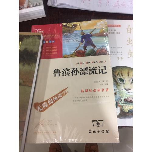 魯濱孫漂流記（中小學新課標必讀名著）