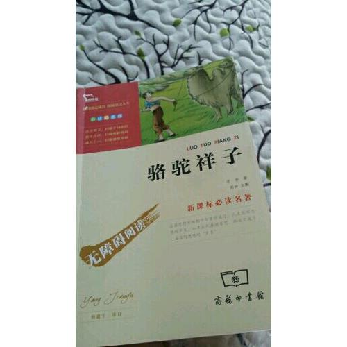 駱駝祥子 人教統編教材七年級下推薦必讀