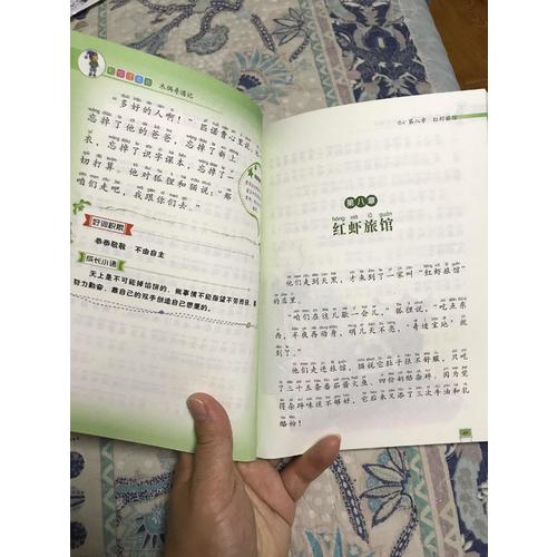 木偶奇遇記 小學(xué)語文新課標(biāo)必讀叢書 彩繪注音版