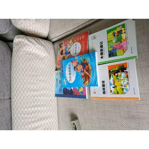 木偶奇遇記 小學(xué)語文新課標(biāo)必讀叢書 彩繪注音版