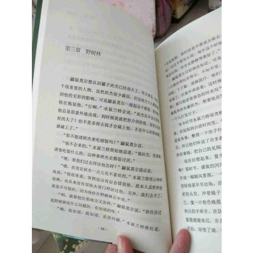 柳林風聲（新課標經典插圖本，著名兒童翻譯家張熾恒全本全譯）