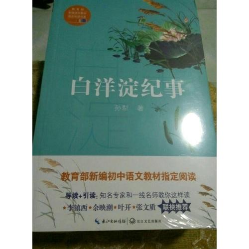 白洋淀紀事（中學生定制版）部編教材七年級上指定閱讀書系