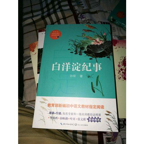 白洋淀紀事（中學生定制版）部編教材七年級上指定閱讀書系