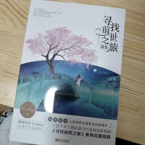 《尋找前世之旅續(xù)集》