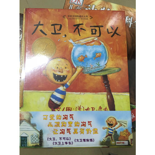 大衛不可以+大衛上學去+大衛惹麻煩（大衛系列全3冊）