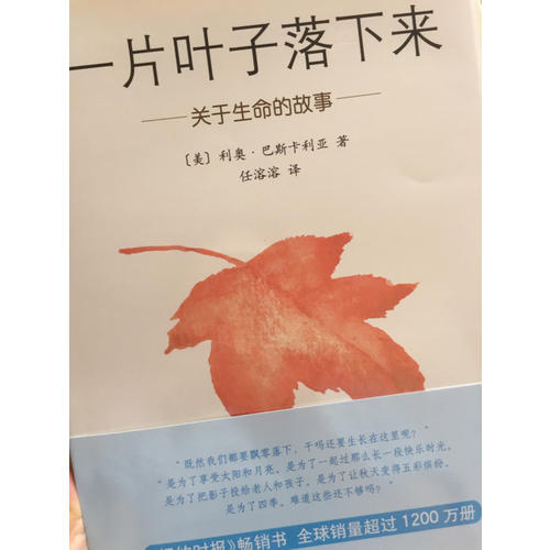 一片葉子落下來