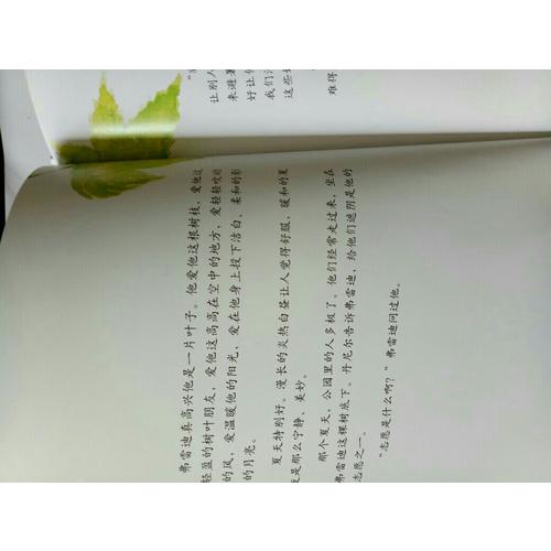 一片葉子落下來