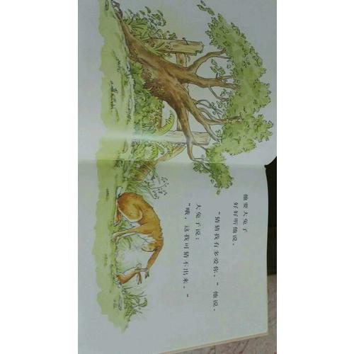 猜猜我有多愛你（央視朗讀者 鄒市明 冉瑩瑩傾情朗讀）