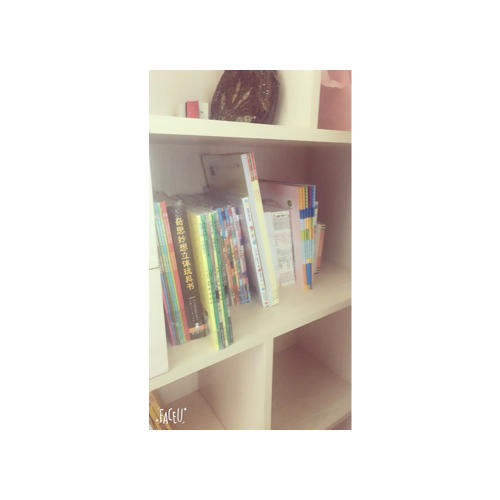 黑貓偵探