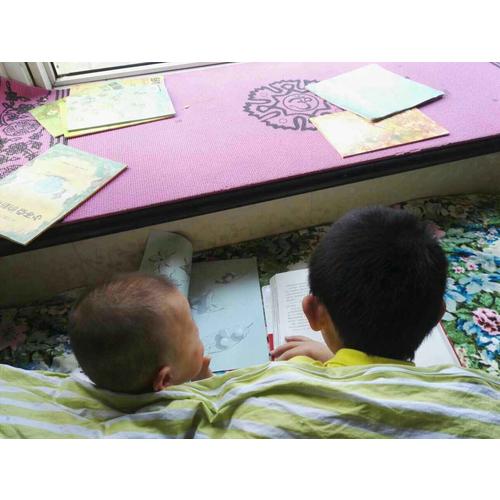 14只老鼠全集（全12冊）