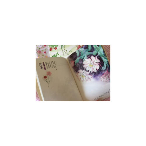 節氣手帖——蔓玫的蔬果志