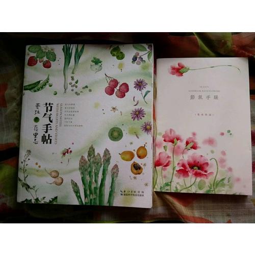 節氣手帖——蔓玫的蔬果志