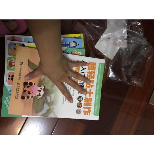 超輕粘土制作從入門到精通（DVD教學版）