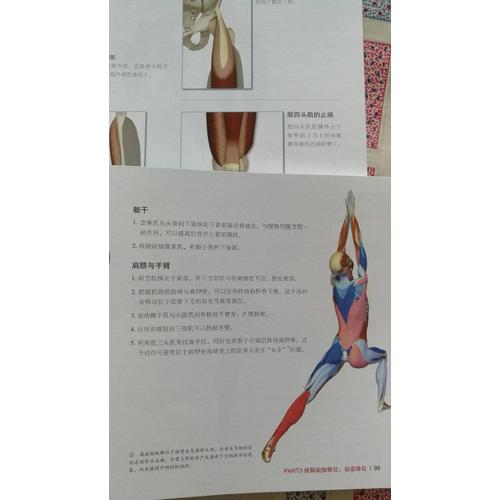 瑜伽3D解剖書Ⅱ