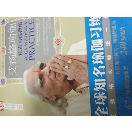 艾揚(yáng)格瑜伽：精進(jìn)習(xí)練指南（再版）