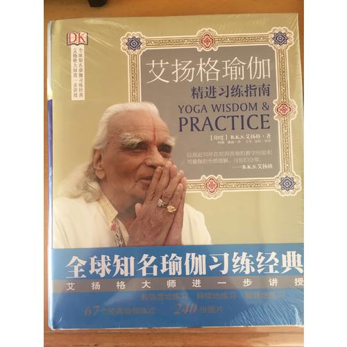 艾揚(yáng)格瑜伽：精進(jìn)習(xí)練指南（再版）