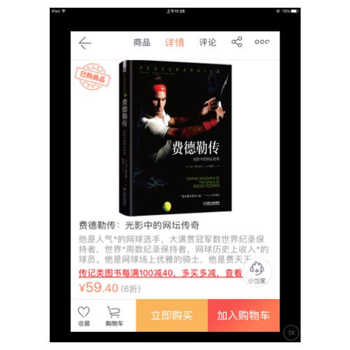 費德勒傳：光影中的網壇傳奇