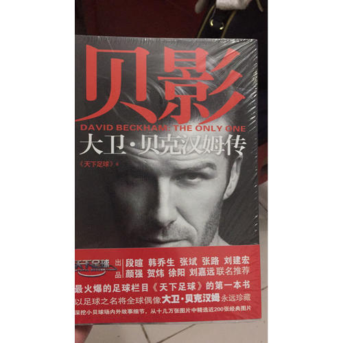 貝影：大衛·貝克漢姆傳
