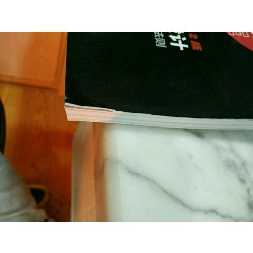 超越LOGO設(shè)計(jì)：國際頂級平面設(shè)計(jì)師的成功法則（第2版）