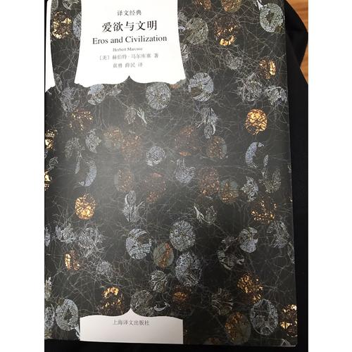 愛(ài)欲與文明（譯文經(jīng)典.精）