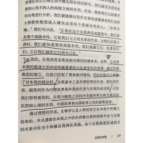 自我與本我(譯文經典 精)