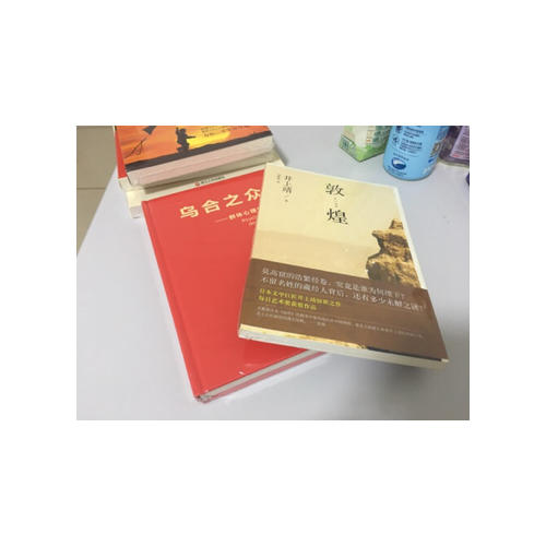 敦煌（引領(lǐng)無數(shù)讀者奔赴敦煌莫高窟，驚天動地講述藏經(jīng)洞千古之謎）
