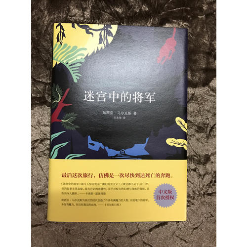 迷宮中的將軍