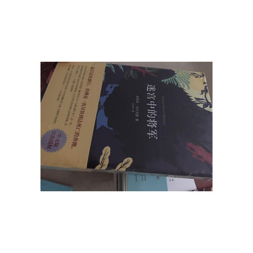 迷宮中的將軍