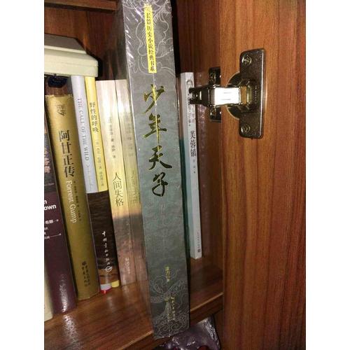 少年天子（長篇歷史小說經典書系）