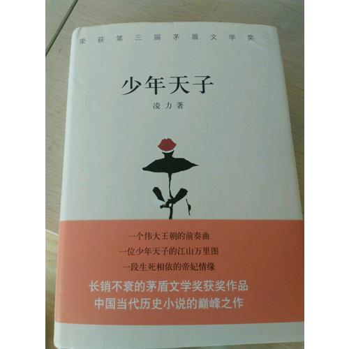 少年天子
