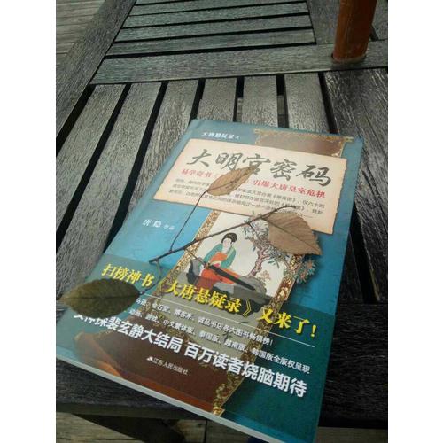 大唐懸疑錄4：大明宮密碼