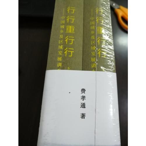 行行重行行——中國城鄉及區域發展調查（上、下）