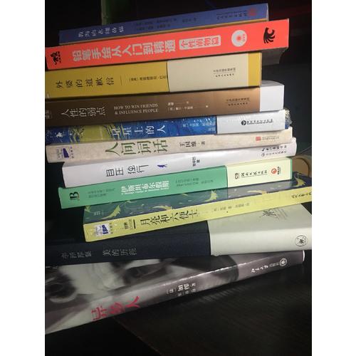 塞普爾維達(dá)童話：教海鷗飛翔的貓