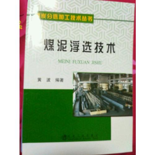 煤泥浮選技術(shù)