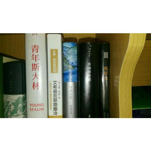 艾希曼在耶路撒冷：一份關于平庸的惡的報告