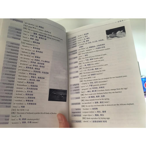 新東方 詞以類記：TOEFL iBT詞匯