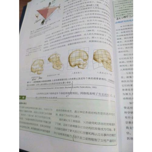 萬千心理·生理心理學（全彩）·走進行為神經科學的世界（第九版）
