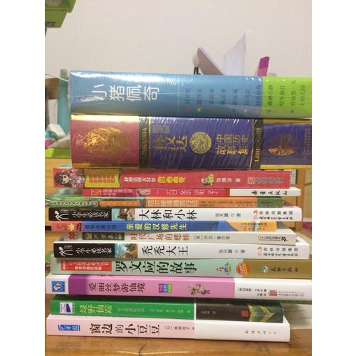 一百條裙子（國(guó)際大獎(jiǎng)小說(shuō)升級(jí)版）