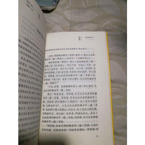 碟形世界：貓和少年魔笛手