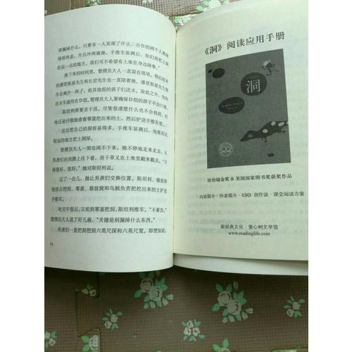 洞