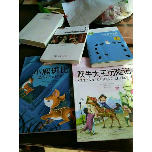 最能打動孩子心靈的世界經(jīng)典童話·吹牛大王歷險(xiǎn)記（美繪版）