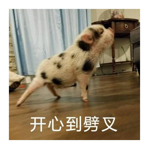 膽小鬼偵探