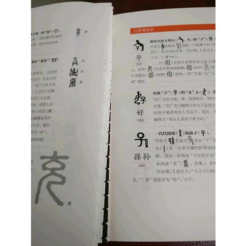 漢字樹：活在字里的中國人