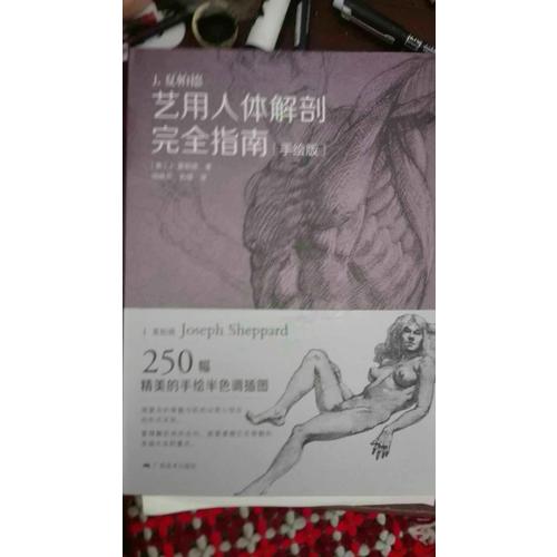 藝用人體解剖指南(手繪版)