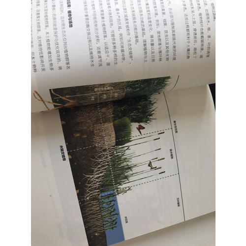 低影響開發城區設計手冊
