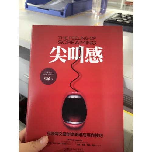 尖叫感：互聯網文案創意思維與寫作技巧