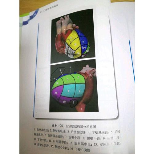 心血管內(nèi)科醫(yī)生成長手冊（配增值服務(wù)）